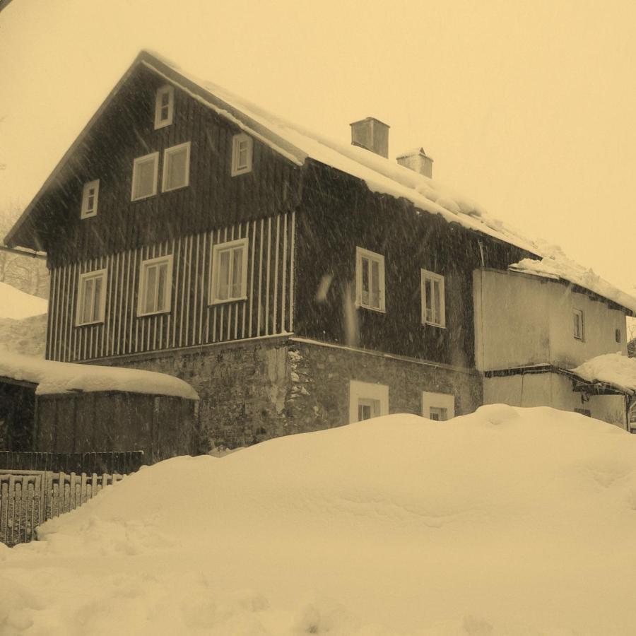 Vila Adelka - Utulna Chalupa V Krkonosich Horni Marsov Exterior photo